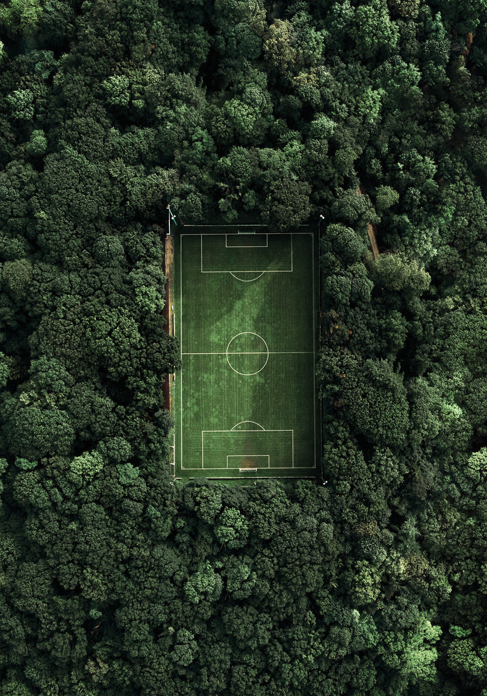 Forest Soccer Field Poster