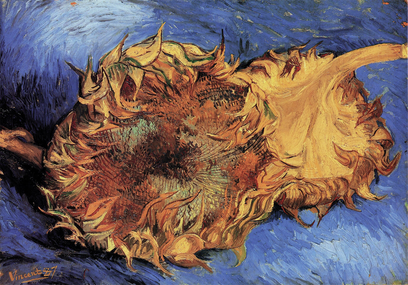 Sunflowers in Dried Beauty Poster