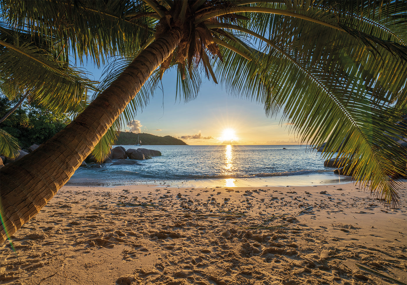 Tropical Beach Serenity Poster