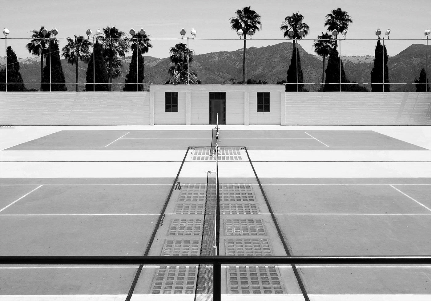 Tennis Court and Palm Trees Poster