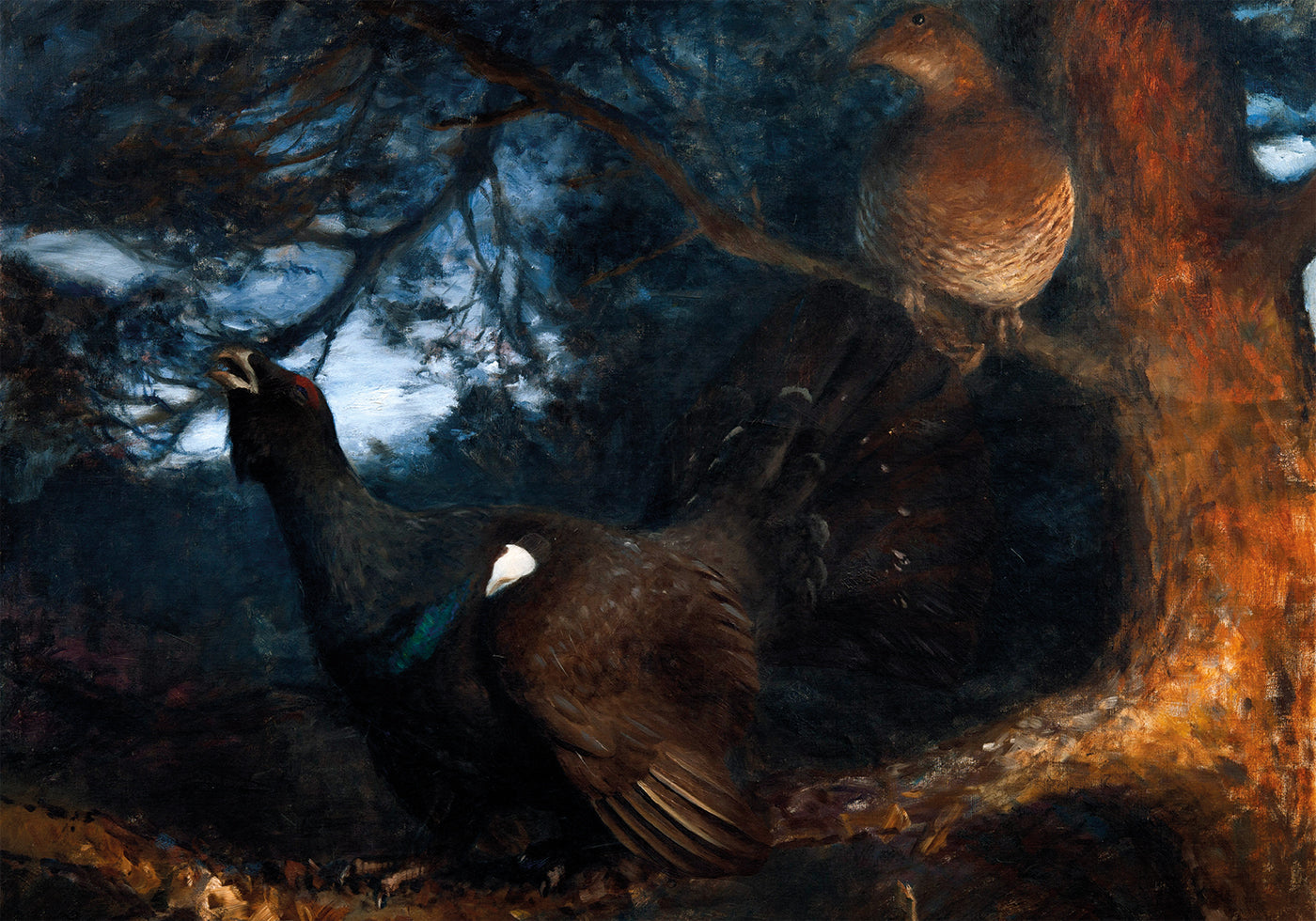 The Dance of Capercaillies Poster