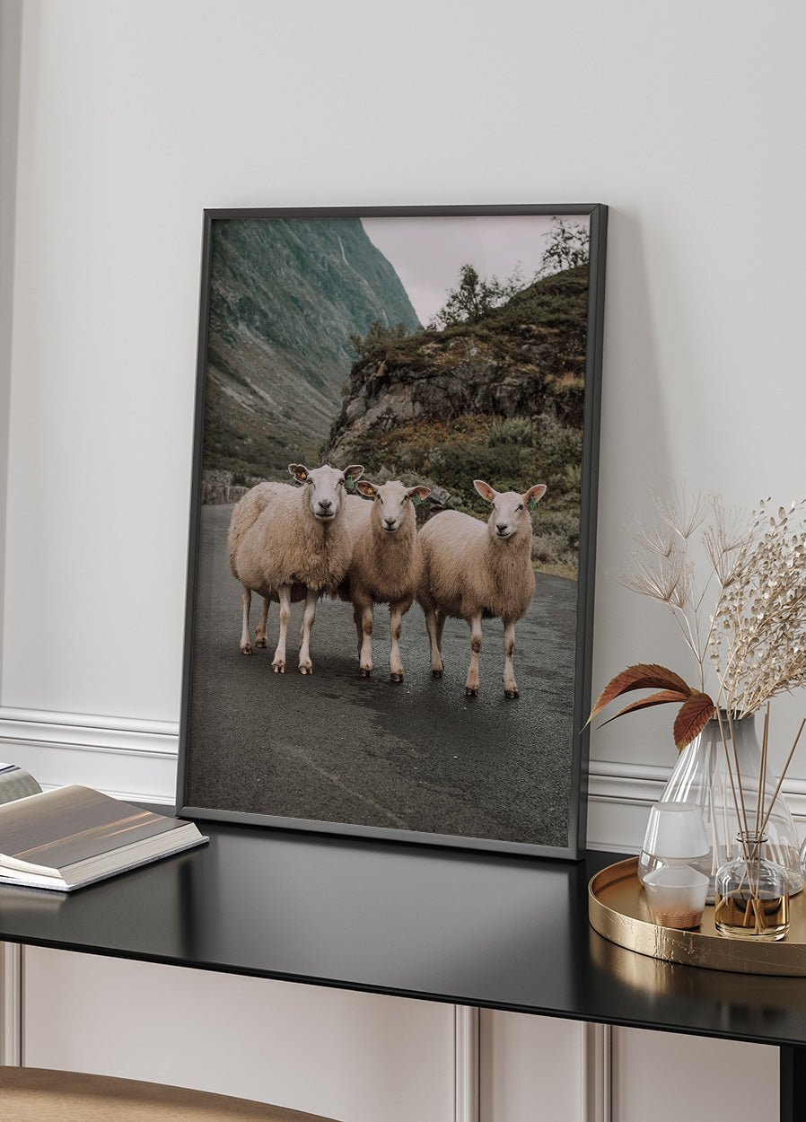 Three Sheep Poster