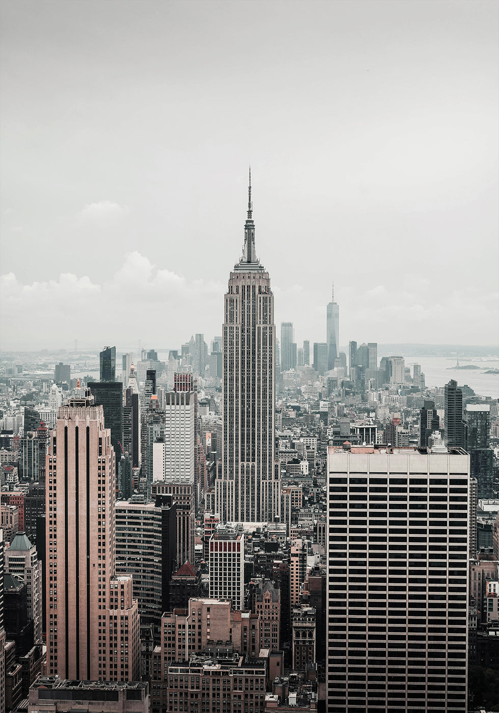 View of New York City Poster