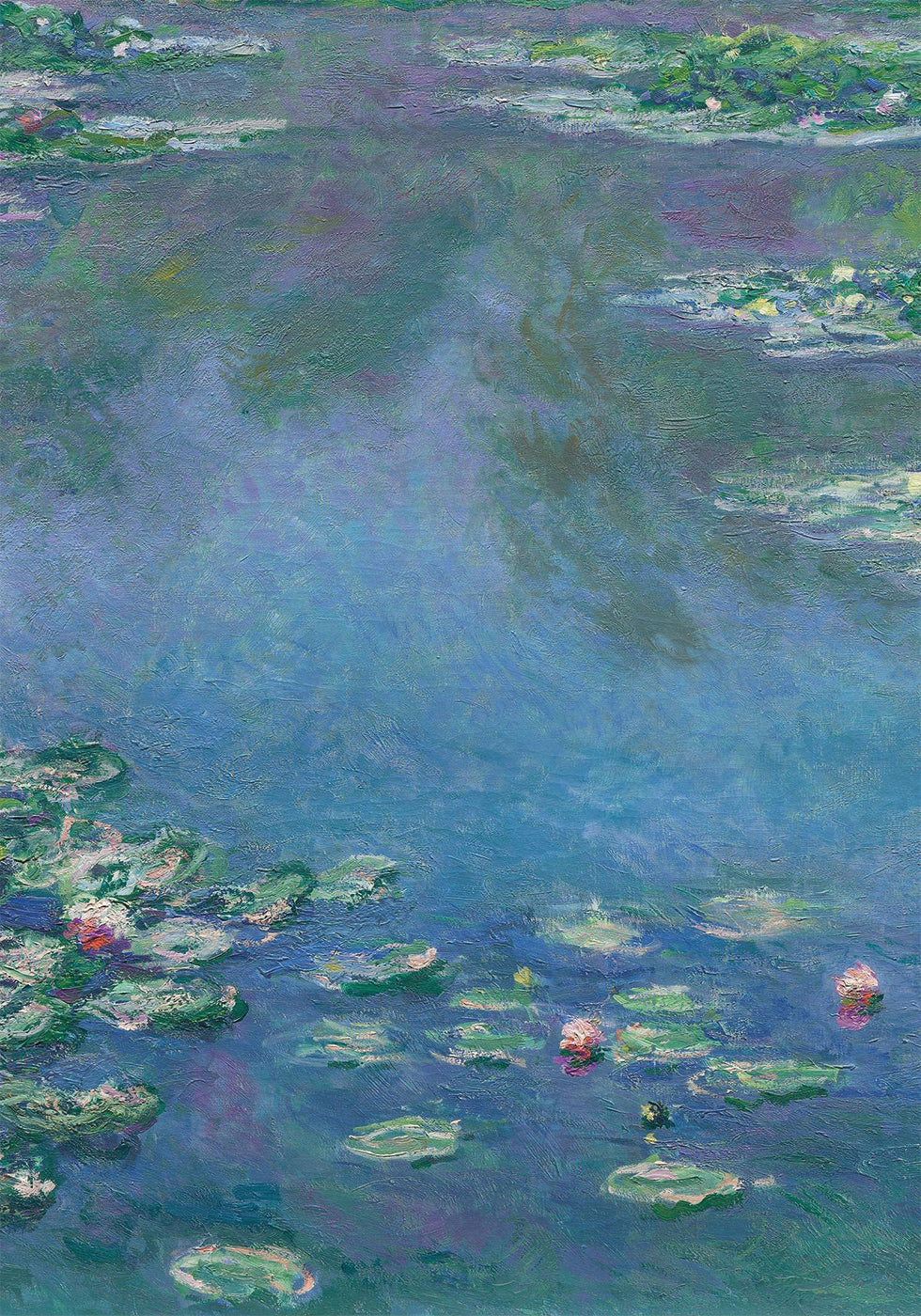 Water Lilies Reflection Poster