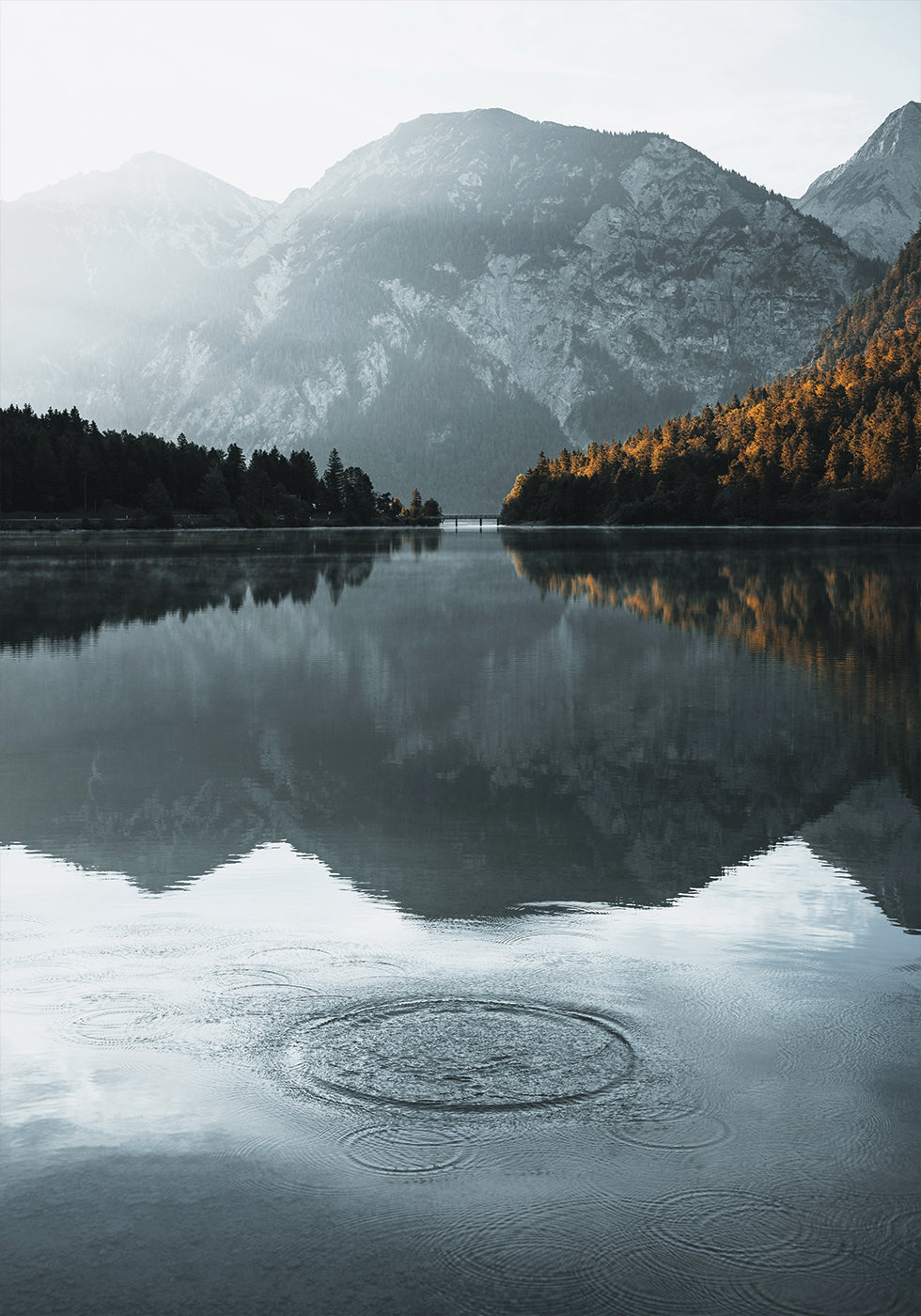 Water Ripples in the lake Poster