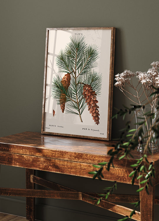 White Pine Botanical Poster