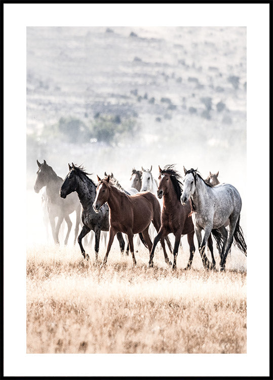 Wild Horses Running Free Nature Poster