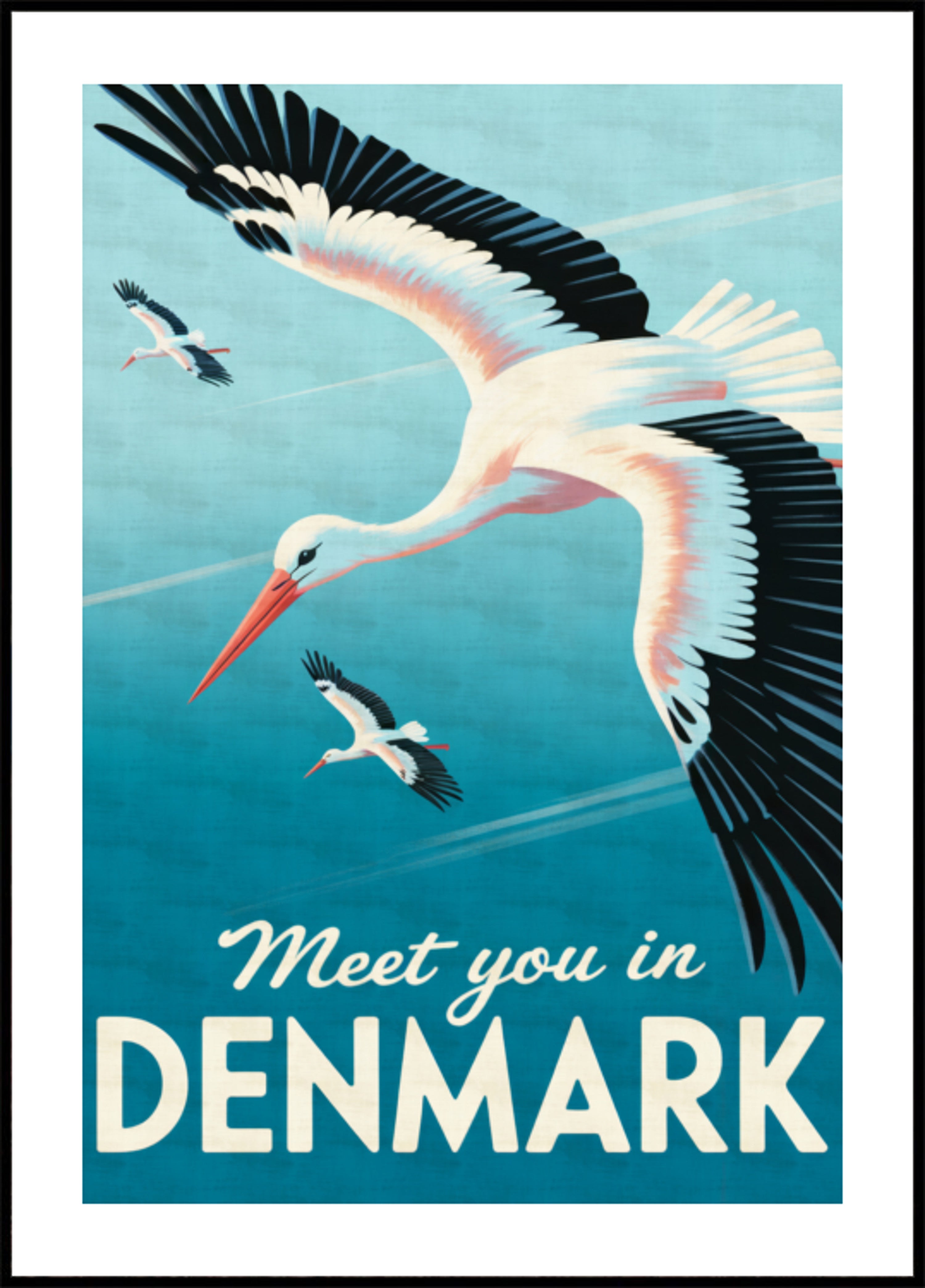 Flying Storks Denmark
