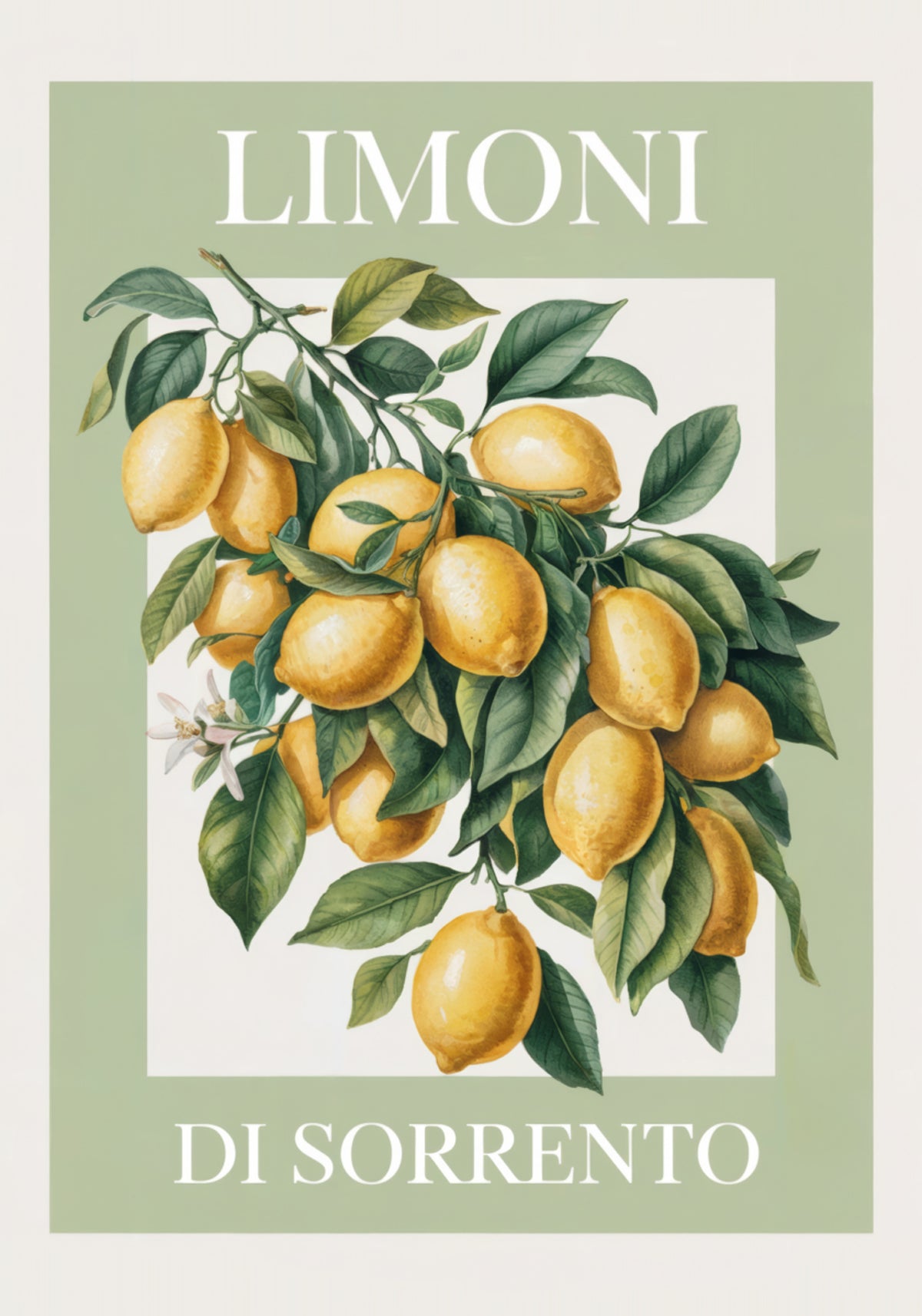 Lemons of Sorrento