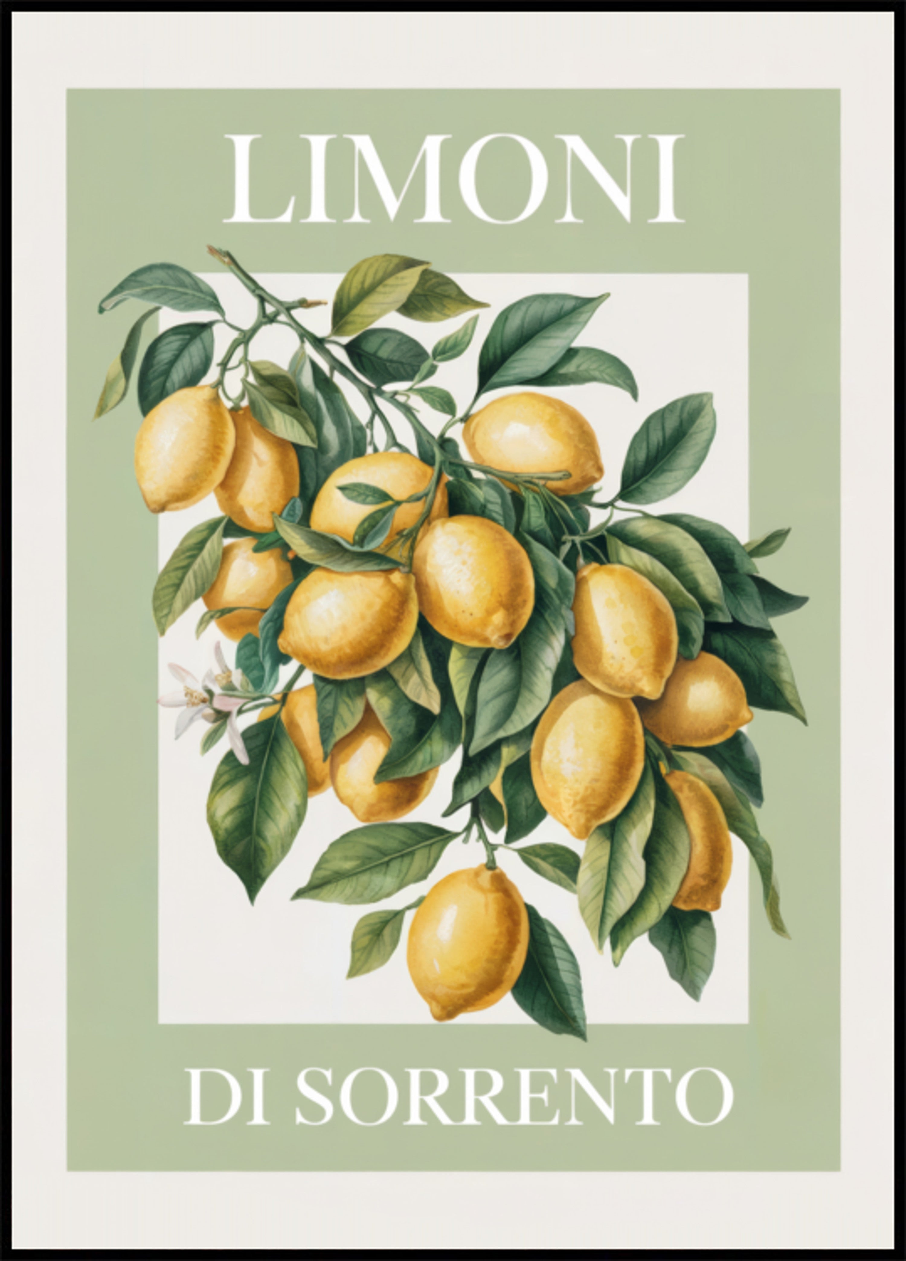 Lemons of Sorrento