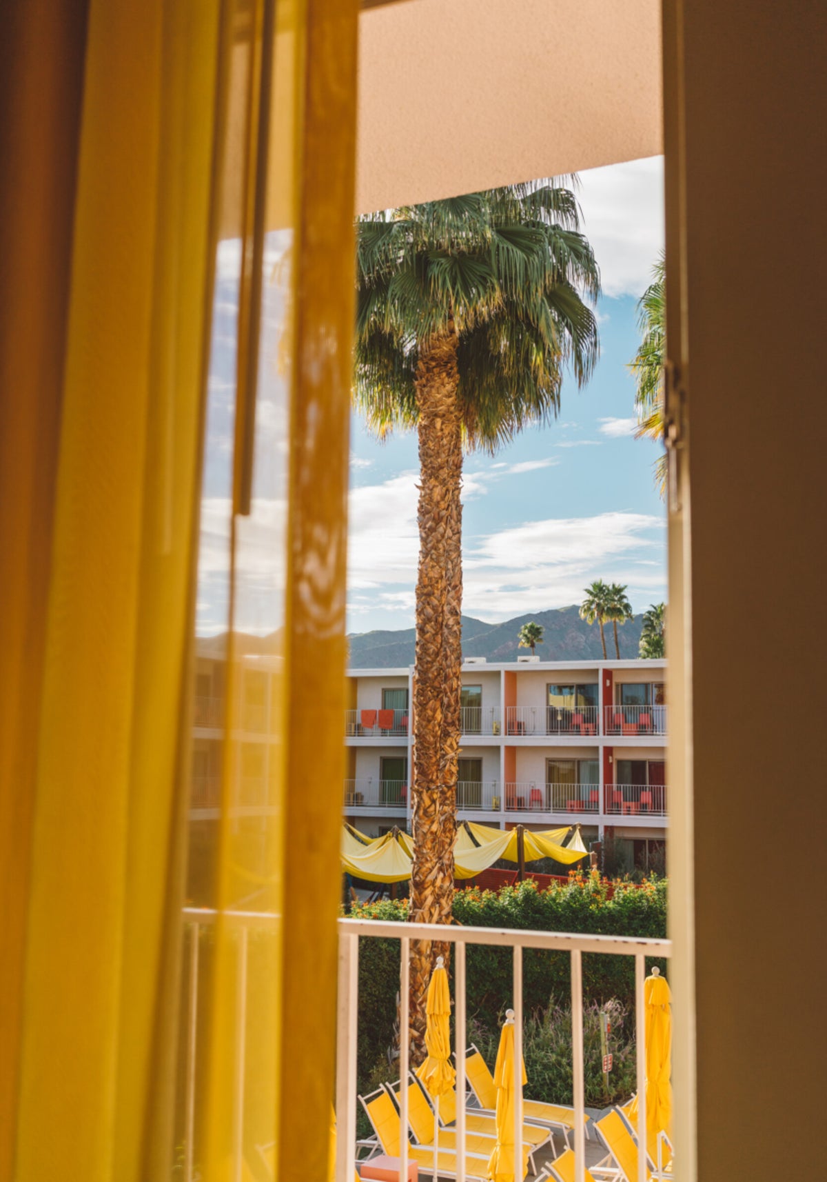 Palm Tree Resort View
