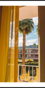 Palm Tree Resort View