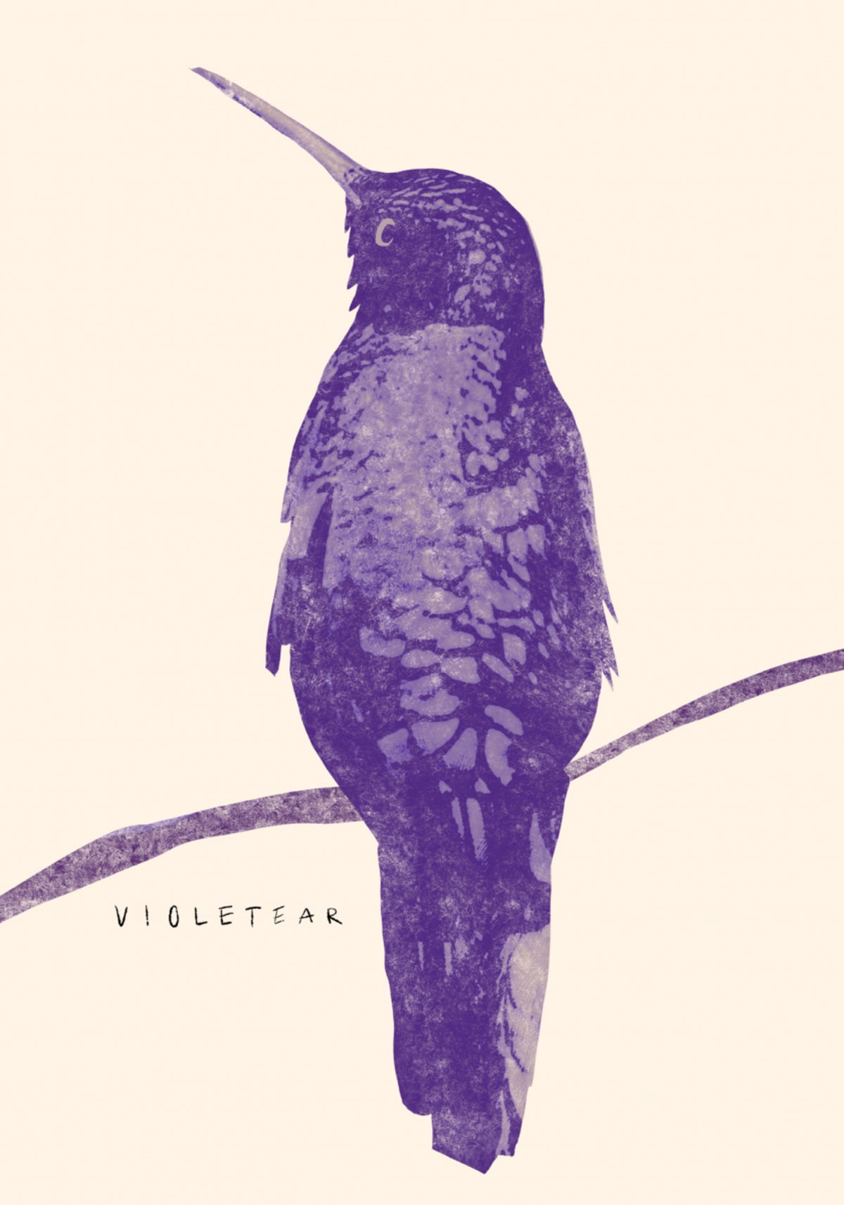 Elegant Violet Hummingbird