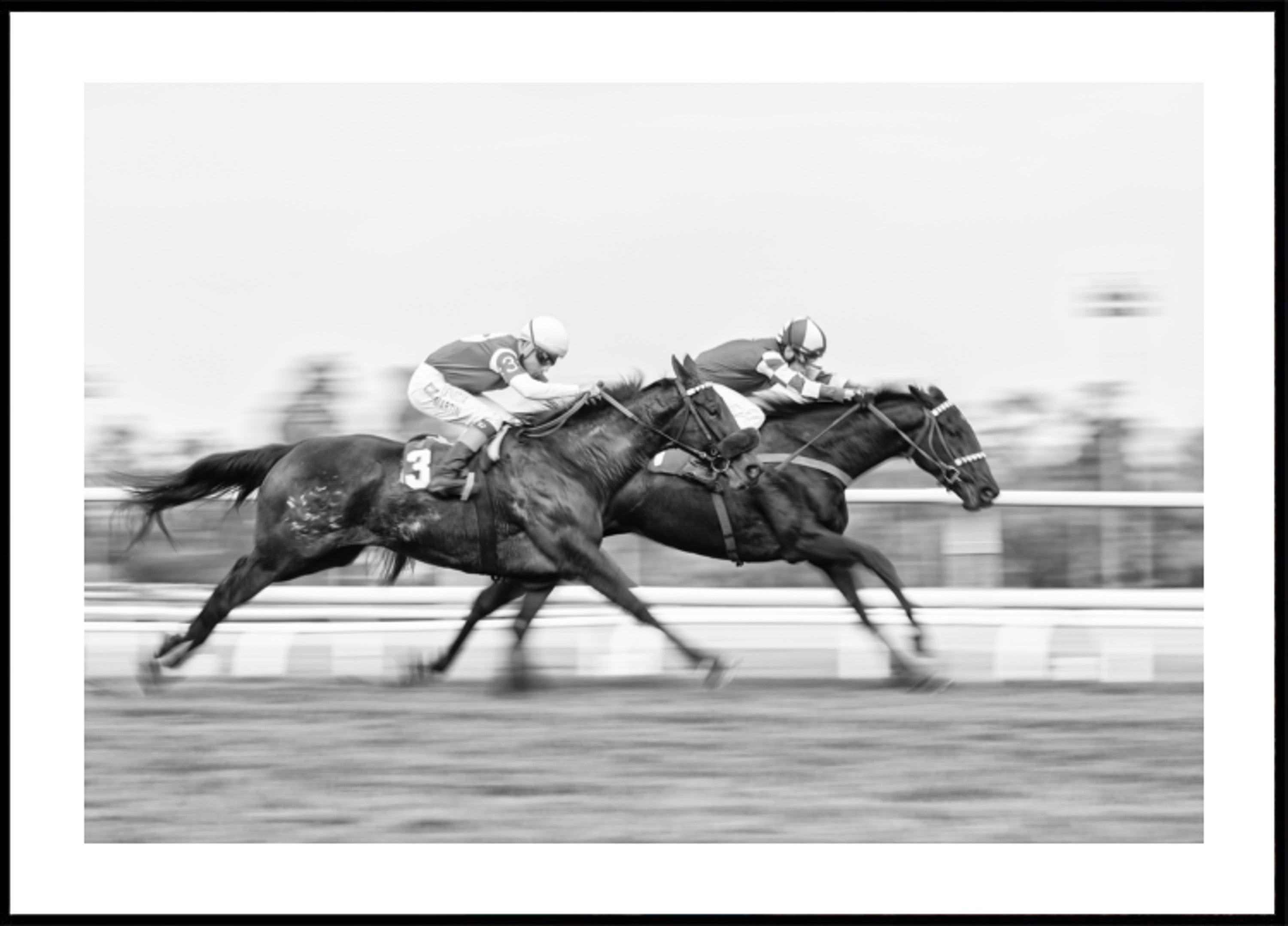 Dynamic Horse Race