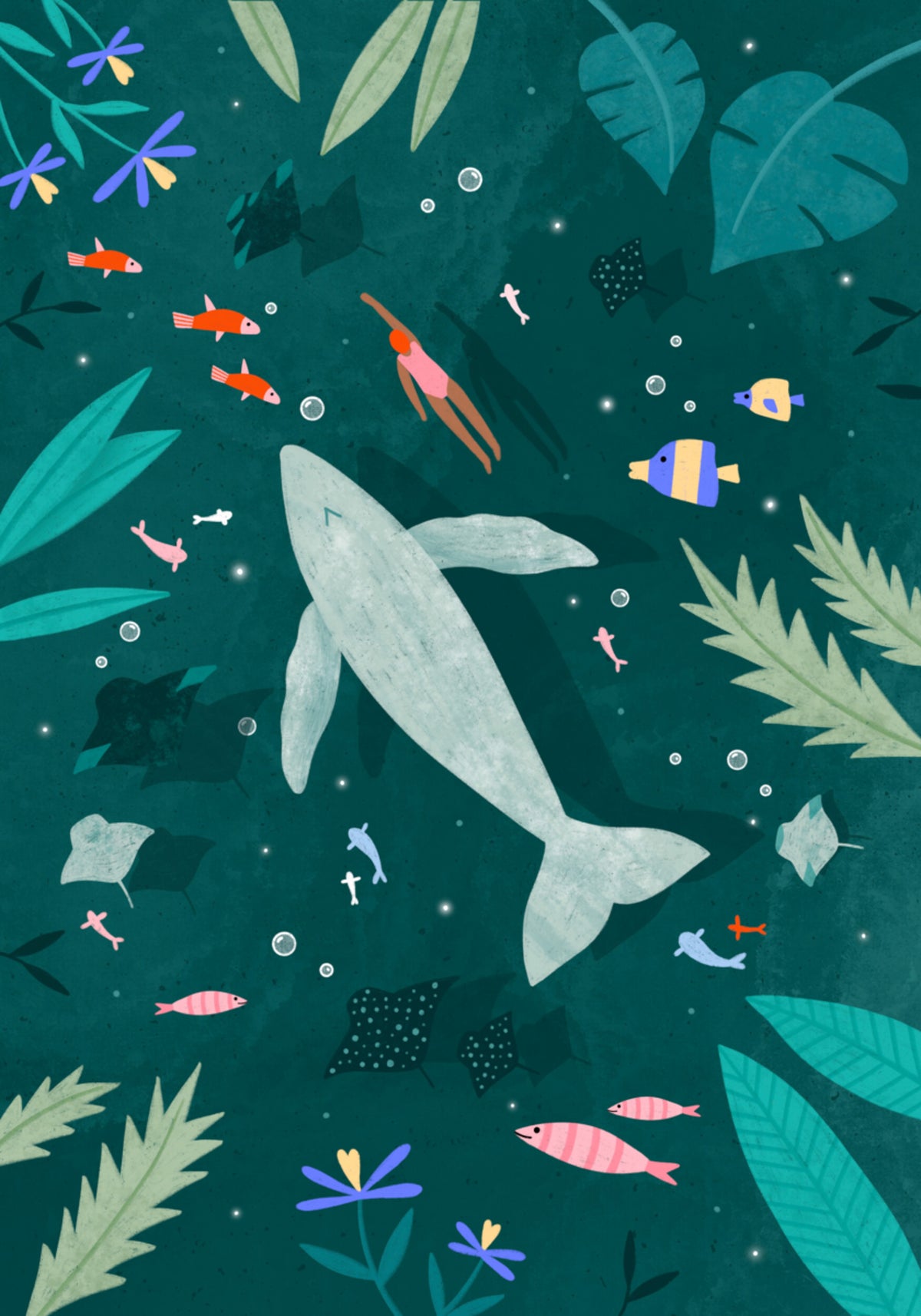 Peaceful Ocean Encounter