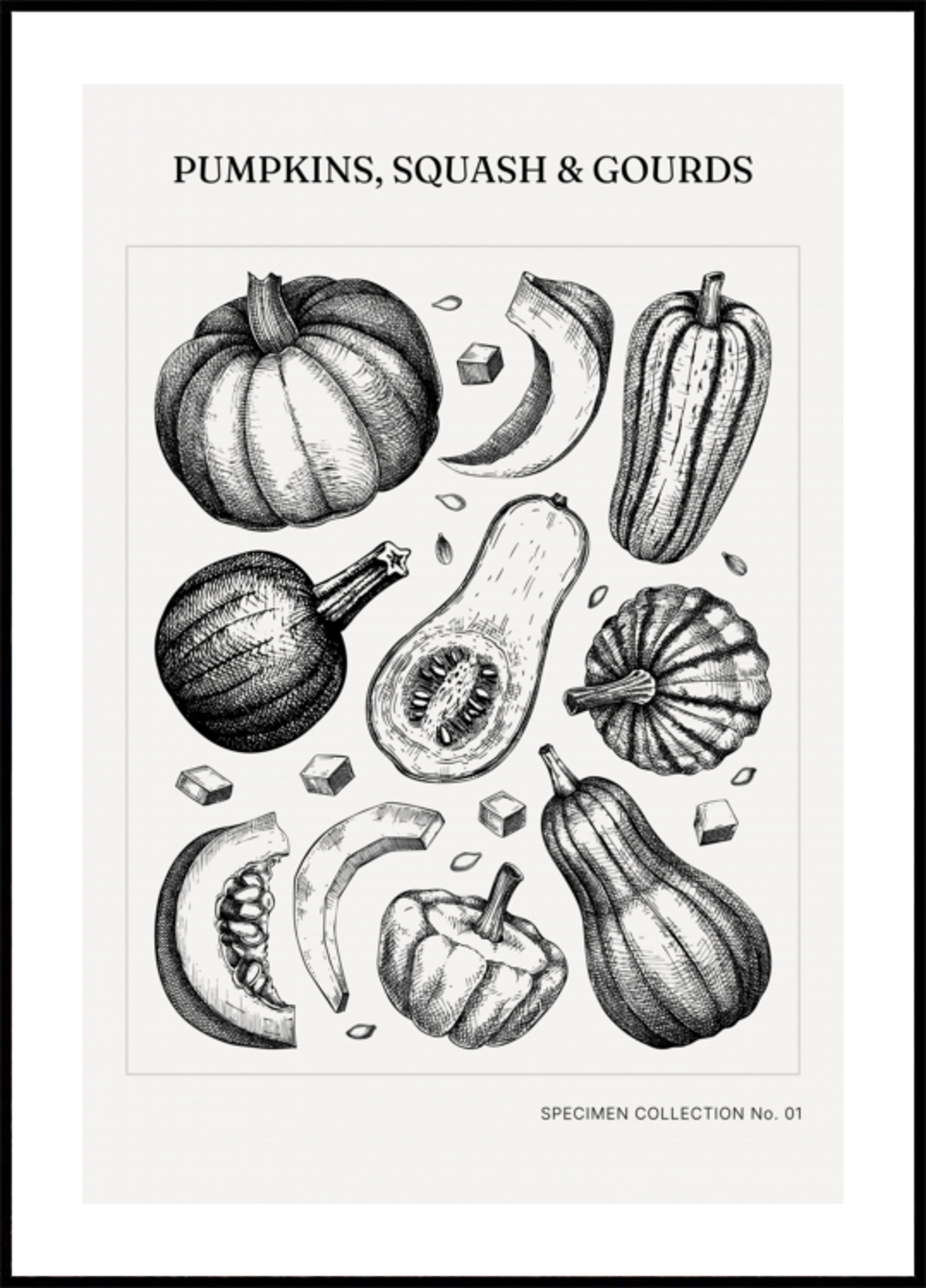 Vintage Botanical Pumpkins