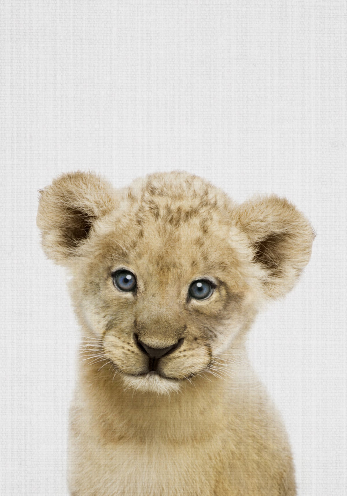 Sweet Lion Cub