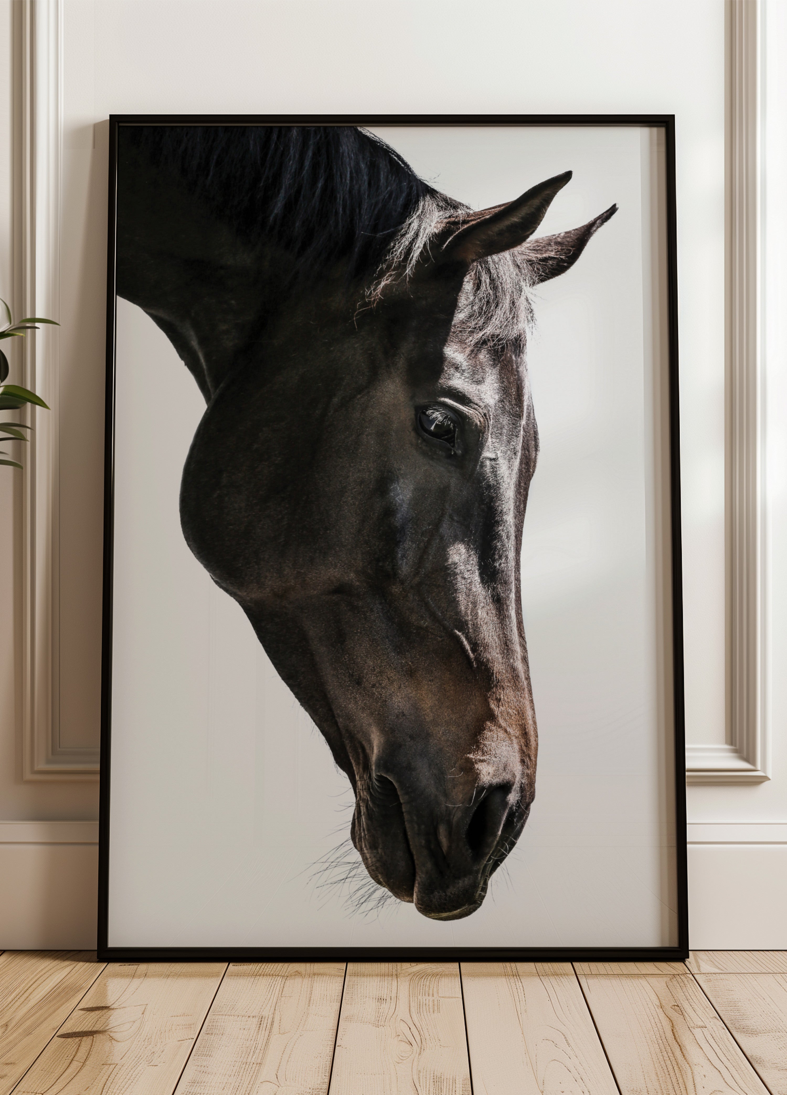 Gentle Equine Gaze