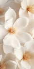 a close up of a bunch of white flowers