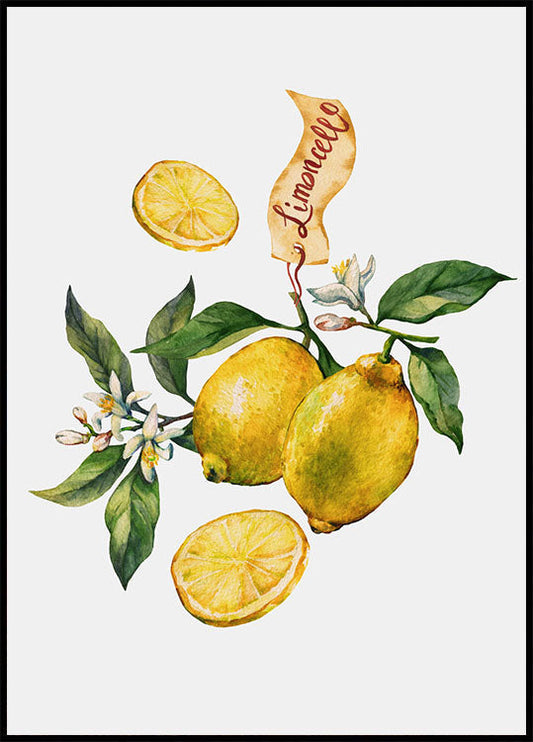 Lemon Citrus Limon Plakat - Posterbox.no