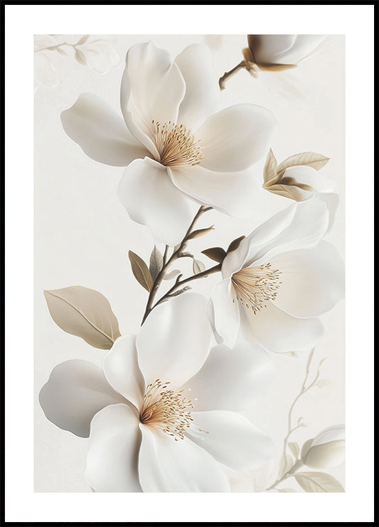 a picture of white flowers on a white background