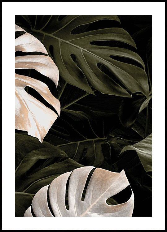 Golden Monstera №1 Poster
