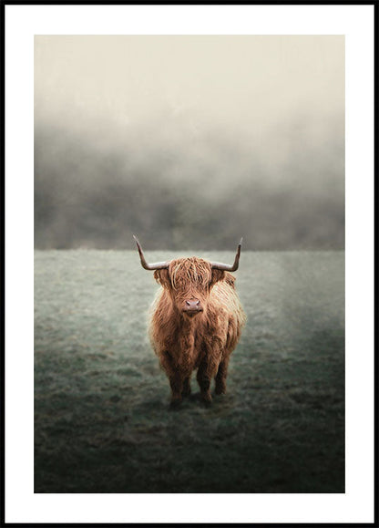 Highland Cow in Mist Poster