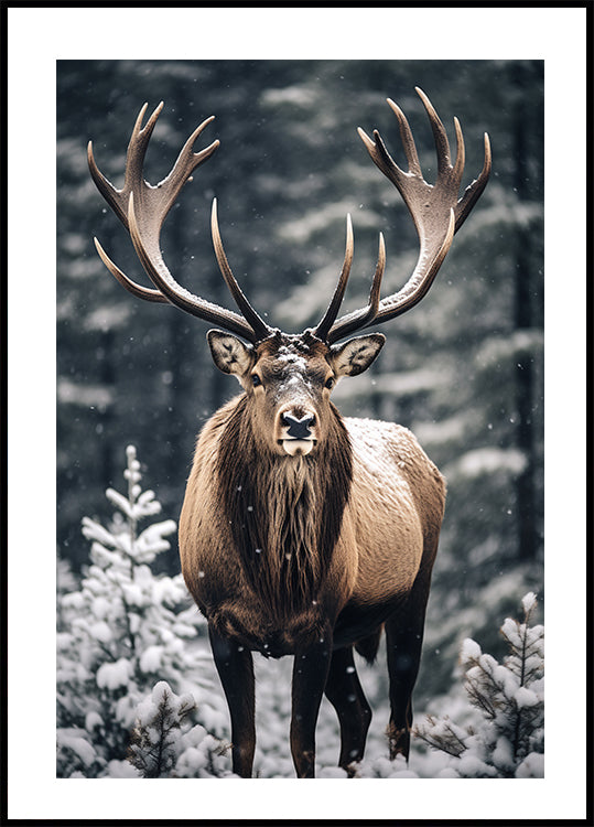 Stag In Forest Poster