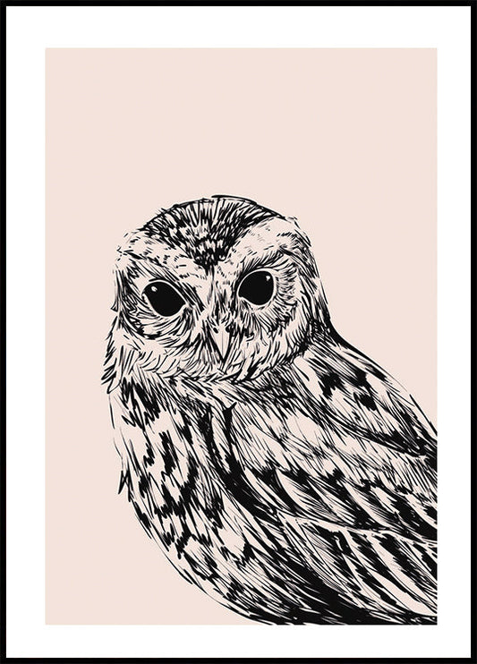 Owl Portrait Poster