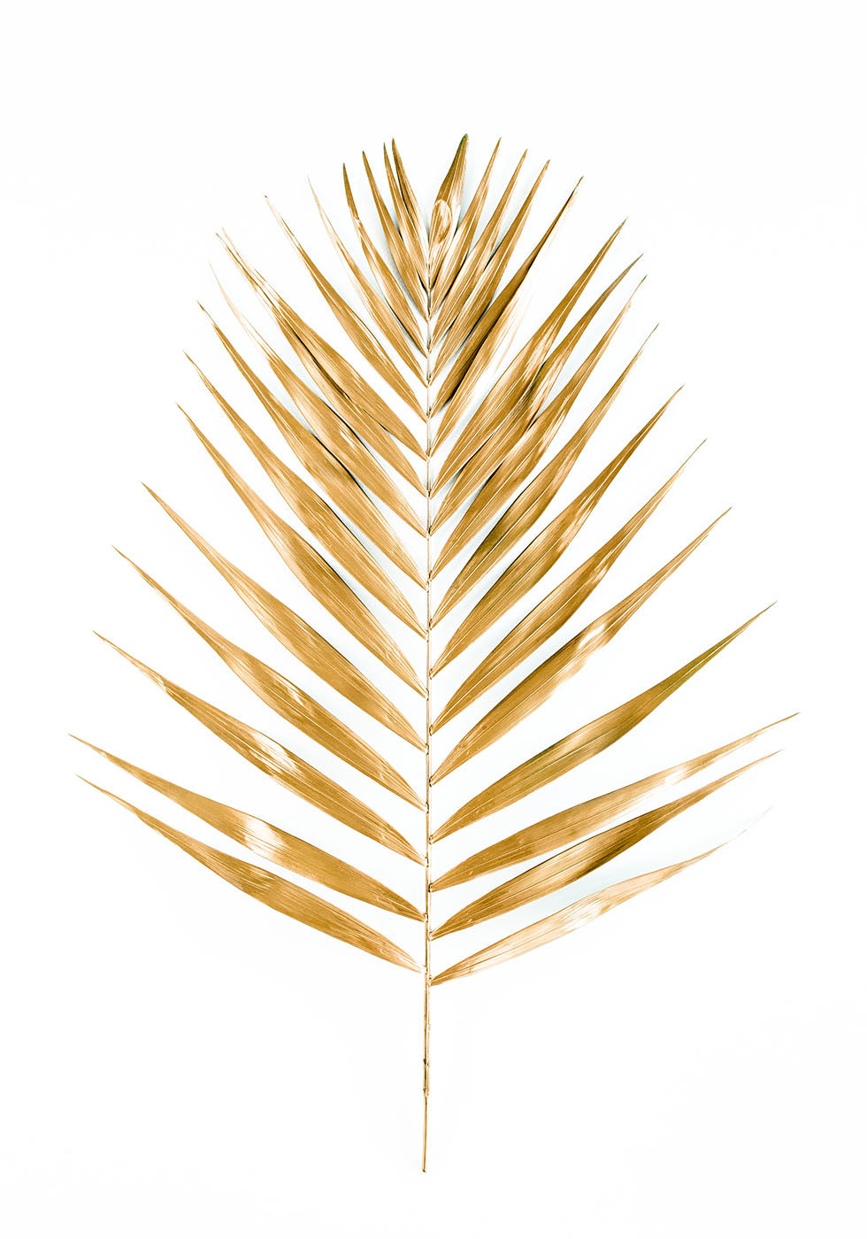 Gold Palm Leaf Poster