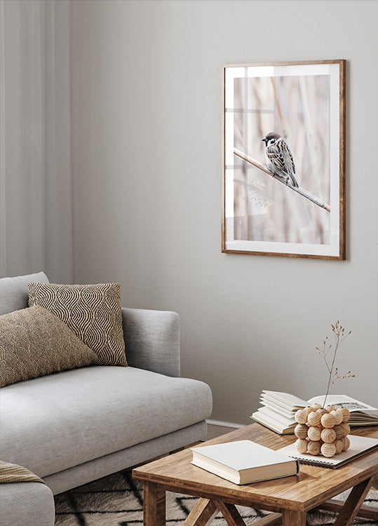 Tree Sparrow on Branch Poster