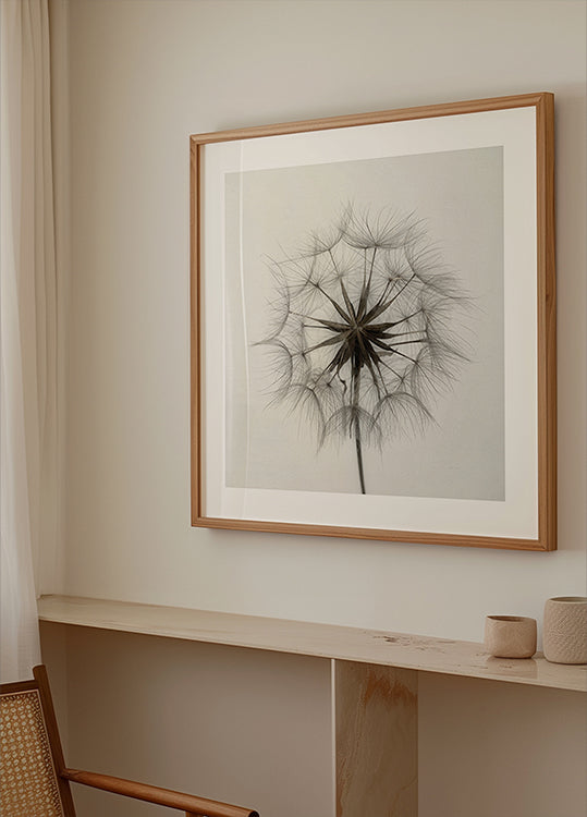 Tragopogon Poster