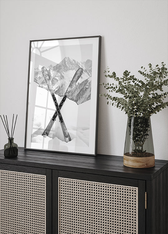 Skies Apls Black and White Poster