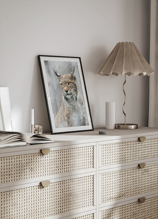 Lynx portrait in the fog Poster