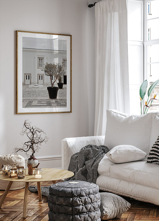 Olive Tree in City Courtyard Poster