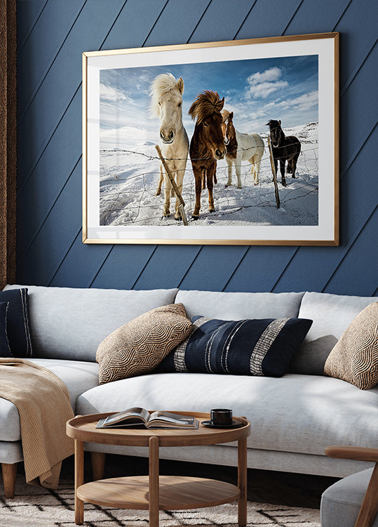 Icelandic Hair Style