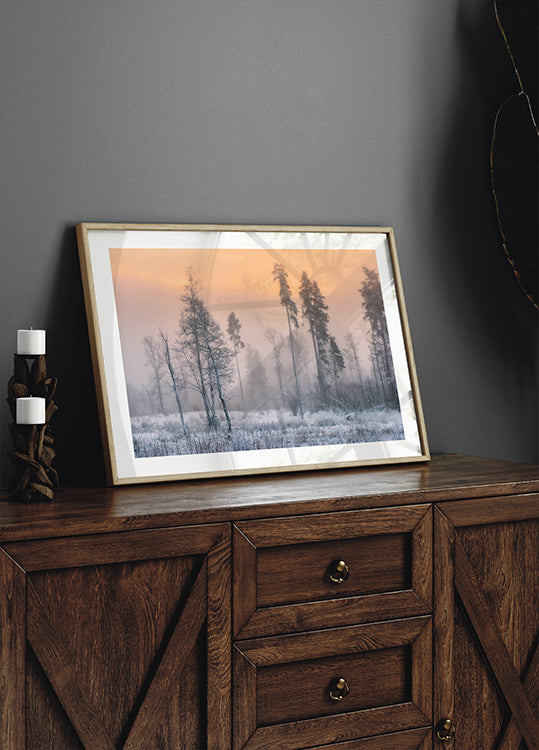 Frosty morning Poster