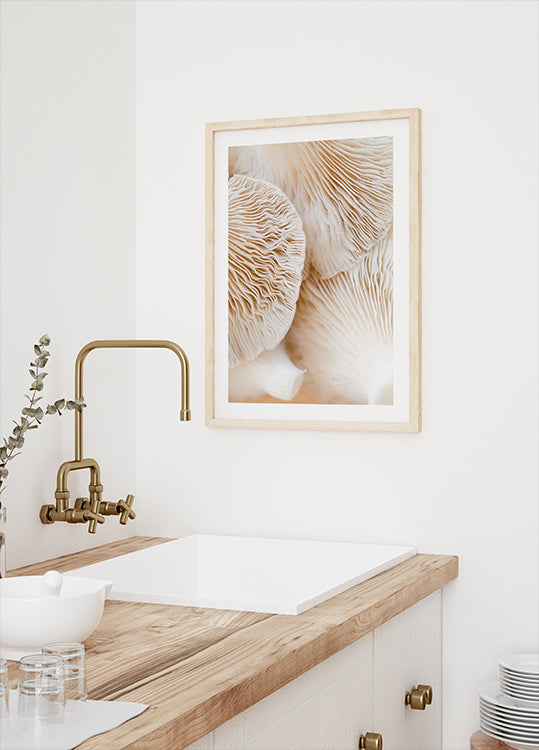 Mushrooms Close-Up Poster