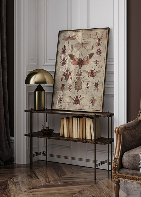 Vintage-style  Insects Poster