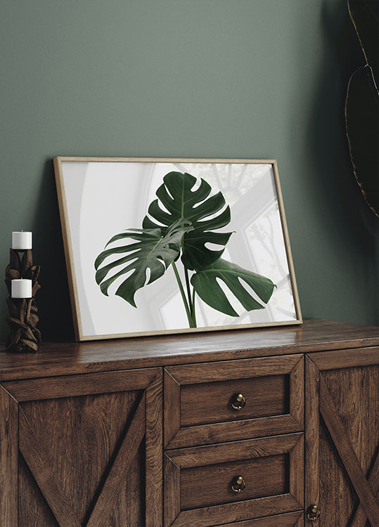 Monstera Plant №1 Poster