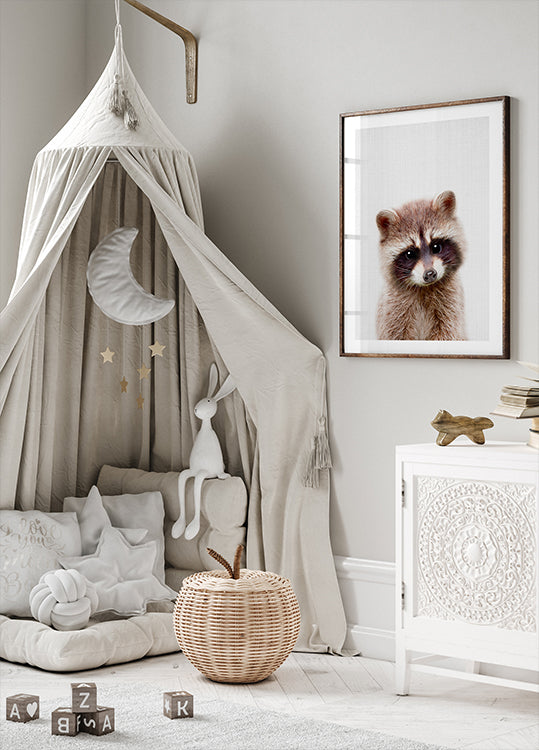 Peekaboo Raccoon Poster