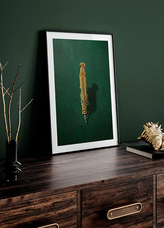 Solitary Cheetah Shadow Poster