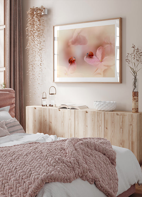 Ladybirds on pink hydrangea.