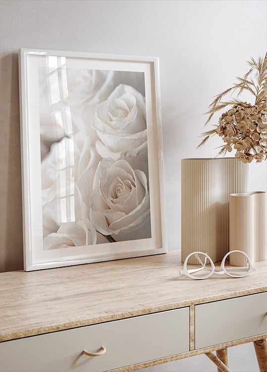 White Blossoming Roses Poster