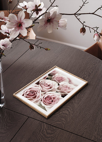 Soft Pink Roses Poster