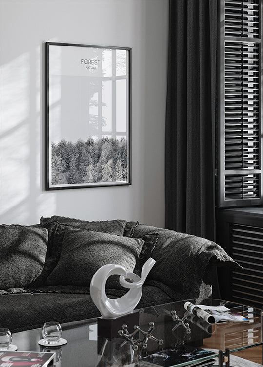 Frosted Tranquility Poster