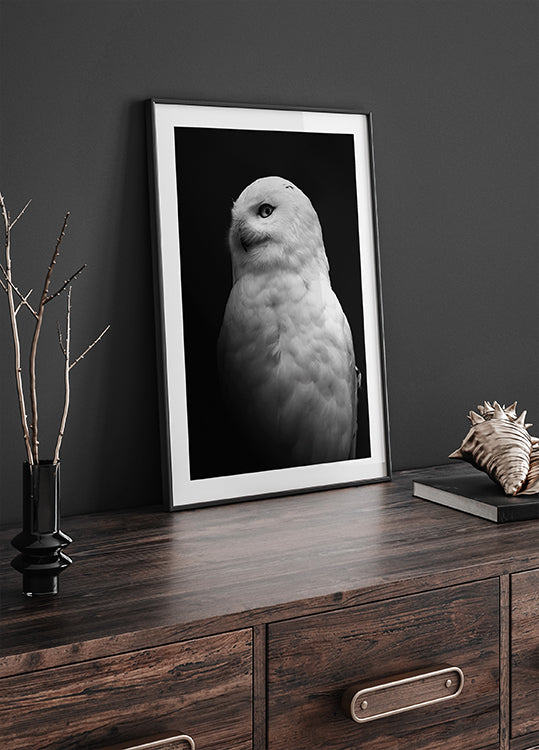 Snowy Owl in Black and White Poster