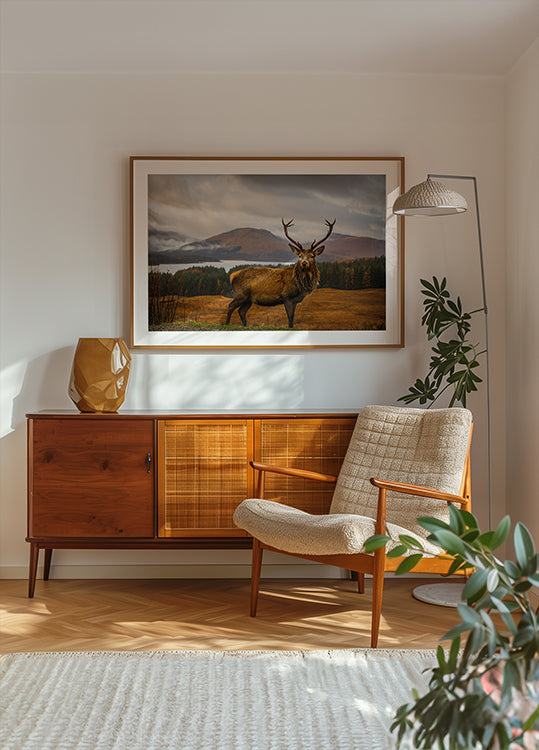 Scottish Stag Poster