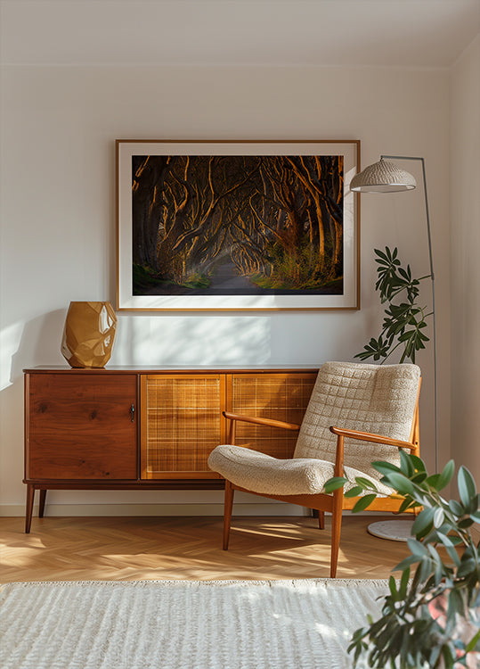 The Dark Hedges in the Morning Sunshine
