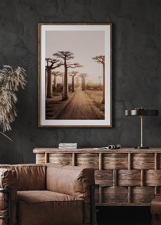 Baobab Trees at Sunset Poster